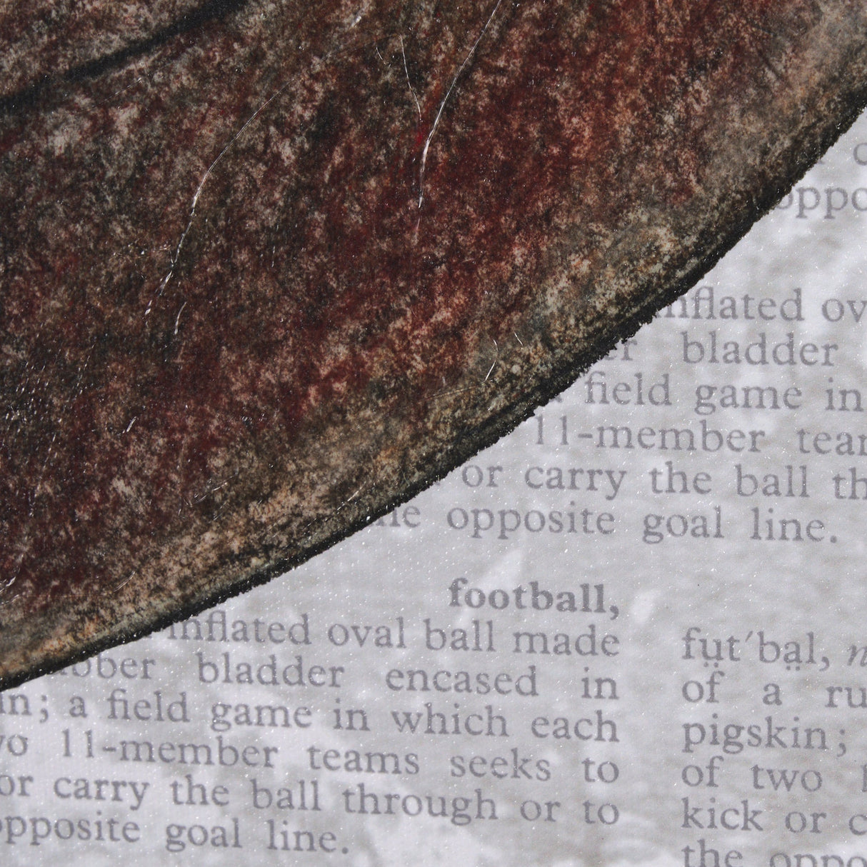 Definition of Sport III by Mercana Studio a Hand Embellished Textured Framed Art Print by Mercana at Eve Furniture