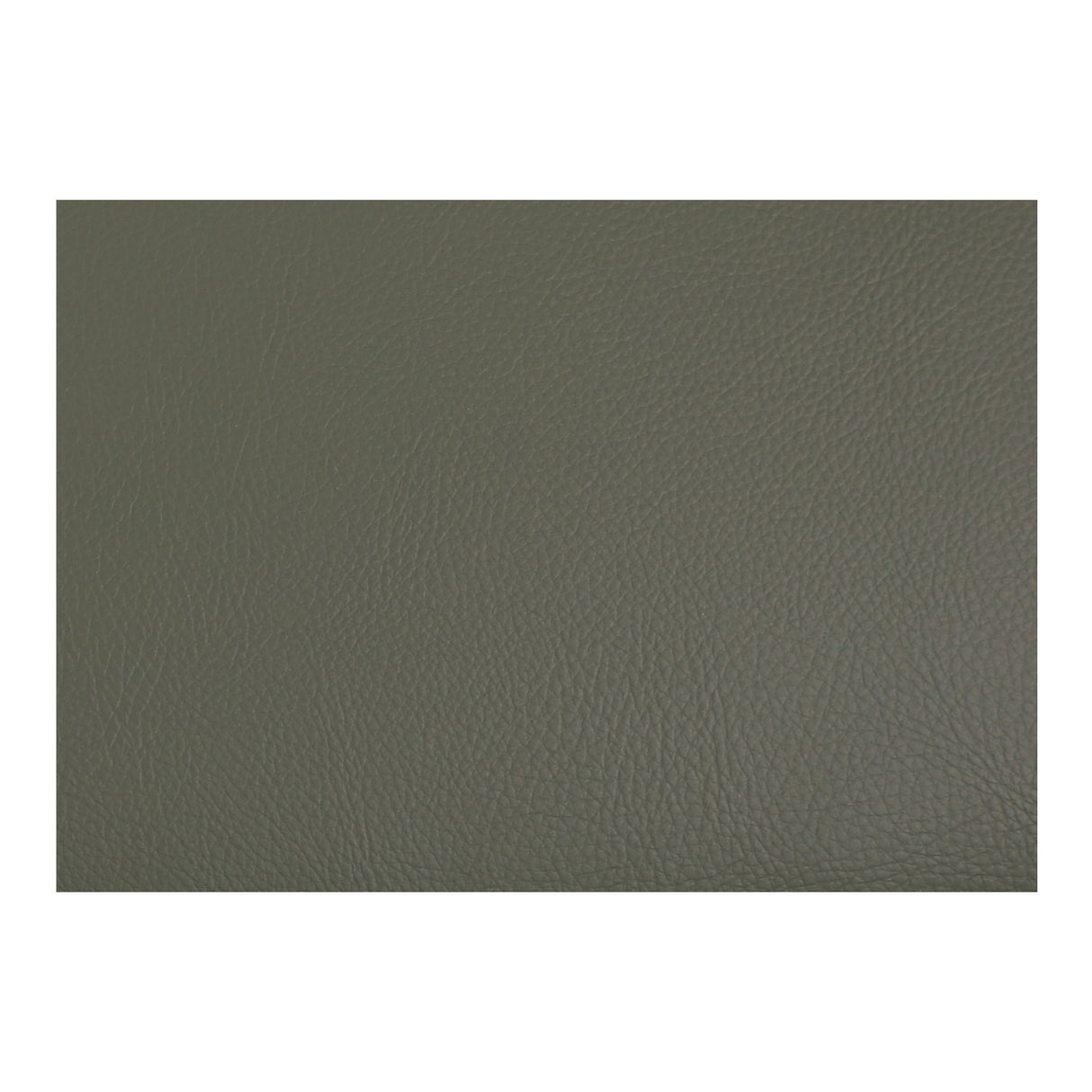 Delaney Dark Green Dining Chair (Set of 2) by MOES at Eve Furniture