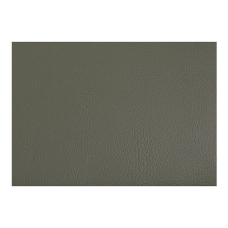 Delaney Dark Green Dining Chair (Set of 2) by MOES at Eve Furniture