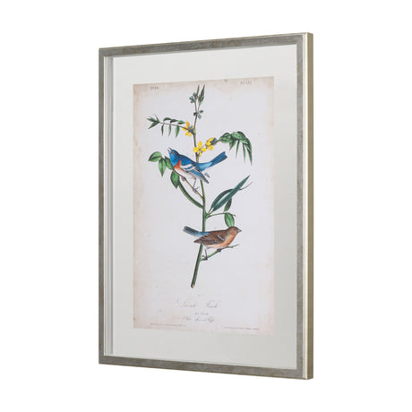 Delicate Bird and Botanical IV by John James Audubon a Framed Art Print Matted under Glass by Mercana at Eve Furniture