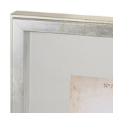 Delicate Bird and Botanical IV by John James Audubon a Framed Art Print Matted under Glass by Mercana at Eve Furniture