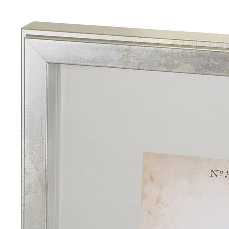 Delicate Bird and Botanical IV by John James Audubon a Framed Art Print Matted under Glass by Mercana at Eve Furniture