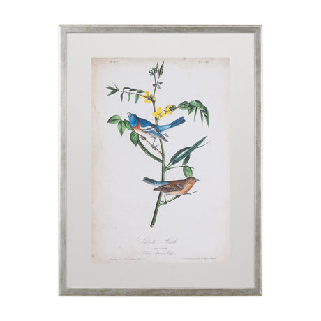 Delicate Bird and Botanical IV by John James Audubon a Framed Art Print Matted under Glass by Mercana at Eve Furniture