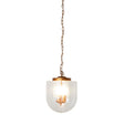 Delphi Pendant Lamp - Coarse Gold and Clear Glass by Ashcroft Furniture at Eve Furniture