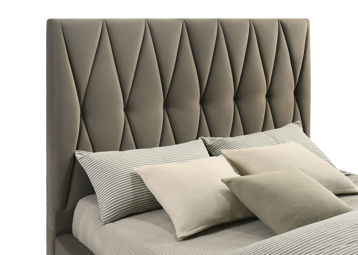 Delsea Light Brown Upholstered Queen Panel Platform Bed by Coaster at Eve Furniture