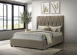 Delsea Light Brown Upholstered Queen Panel Platform Bed by Coaster at Eve Furniture