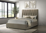 Delsea Light Brown Upholstered Queen Panel Platform Bed by Coaster at Eve Furniture