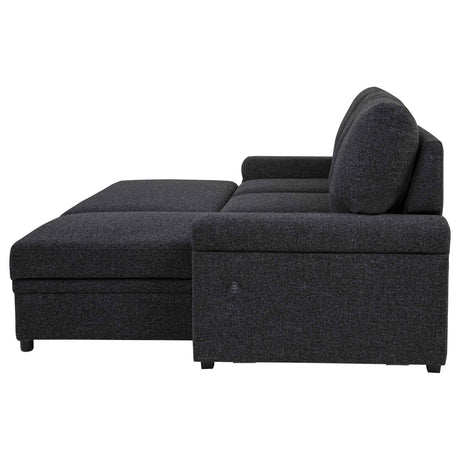 Demko Black Sleeper Sectional Sofa with Speaker and Storage Chaise by Coaster at Eve Furniture