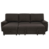 Demko Brown Sleeper Sectional Sofa with Speaker and Storage Chaise by Coaster at Eve Furniture