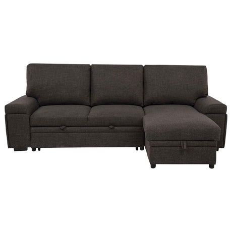 Demko Brown Sleeper Sectional Sofa with Speaker and Storage Chaise by Coaster at Eve Furniture