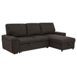Demko Brown Sleeper Sectional Sofa with Speaker and Storage Chaise by Coaster at Eve Furniture