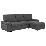 Demko Granite Sleeper Sectional Sofa with Speaker and Storage Chaise by Coaster at Eve Furniture