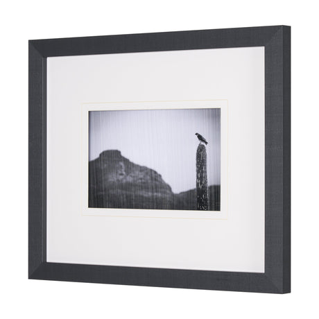 Desert Hunter by Nathan Larson a Hand Embelished Textured Framed Photo Art Print Matted under Glass by Mercana at Eve Furniture
