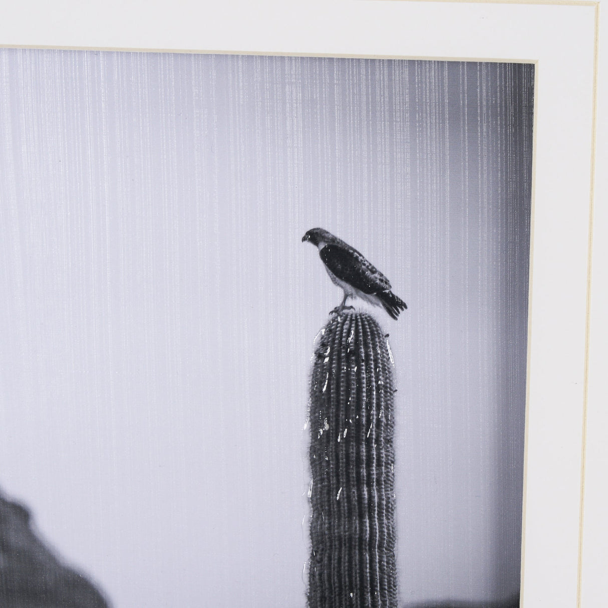 Desert Hunter by Nathan Larson a Hand Embelished Textured Framed Photo Art Print Matted under Glass by Mercana at Eve Furniture