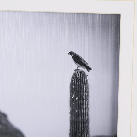 Desert Hunter by Nathan Larson a Hand Embelished Textured Framed Photo Art Print Matted under Glass by Mercana at Eve Furniture