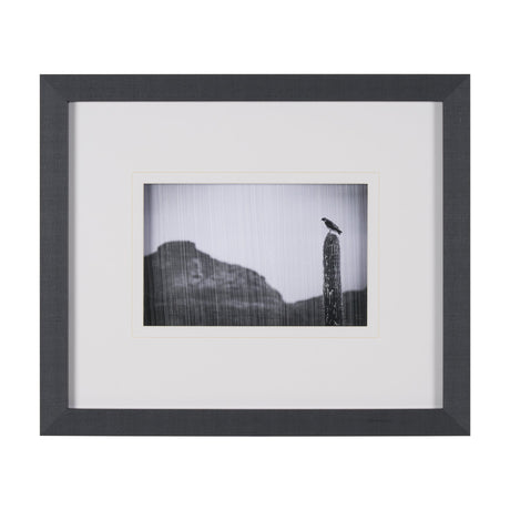 Desert Hunter by Nathan Larson a Hand Embelished Textured Framed Photo Art Print Matted under Glass by Mercana at Eve Furniture