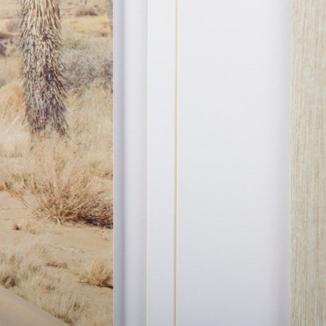 Desert Road by Irene Suchocki a Hand Embellished Textured Framed Art Photograph Matted under Glass by Mercana at Eve Furniture