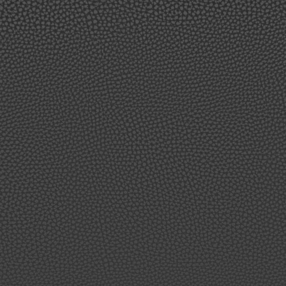 Desi Armless Barstool Black by Zuomod at Eve Furniture