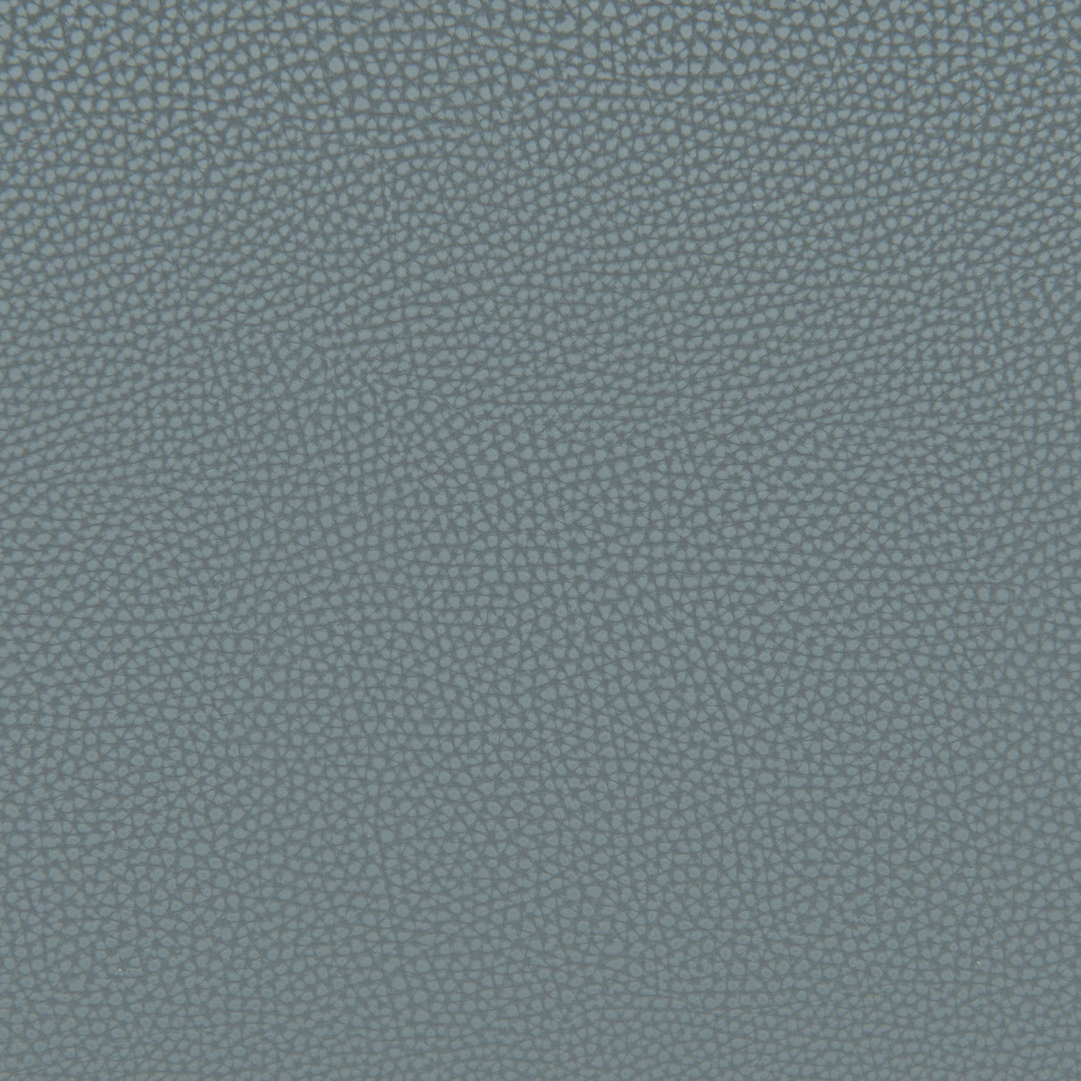Desi Azure Gray Armless Dining Chair (Set of 2) by Zuomod at Eve Furniture