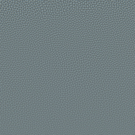 Desi Azure Gray Armless Dining Chair (Set of 2) by Zuomod at Eve Furniture