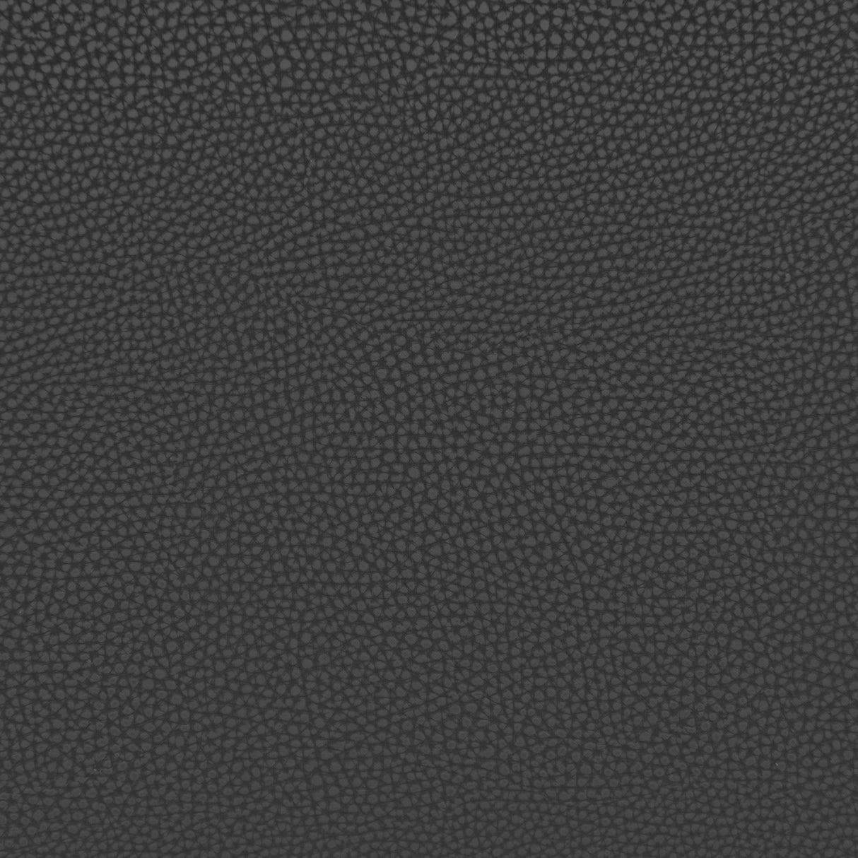 Desi Black Armless Dining Chair (Set of 2) by Zuomod at Eve Furniture