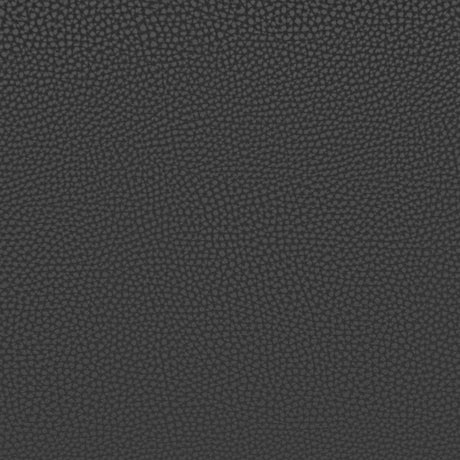 Desi Black Armless Dining Chair (Set of 2) by Zuomod at Eve Furniture