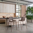 Desi Brown & Walnut Counter Stool (Set of 2) by Zuomod at Eve Furniture