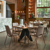 Desi Brown & Walnut Dining Chair (Set of 2) by Zuomod at Eve Furniture