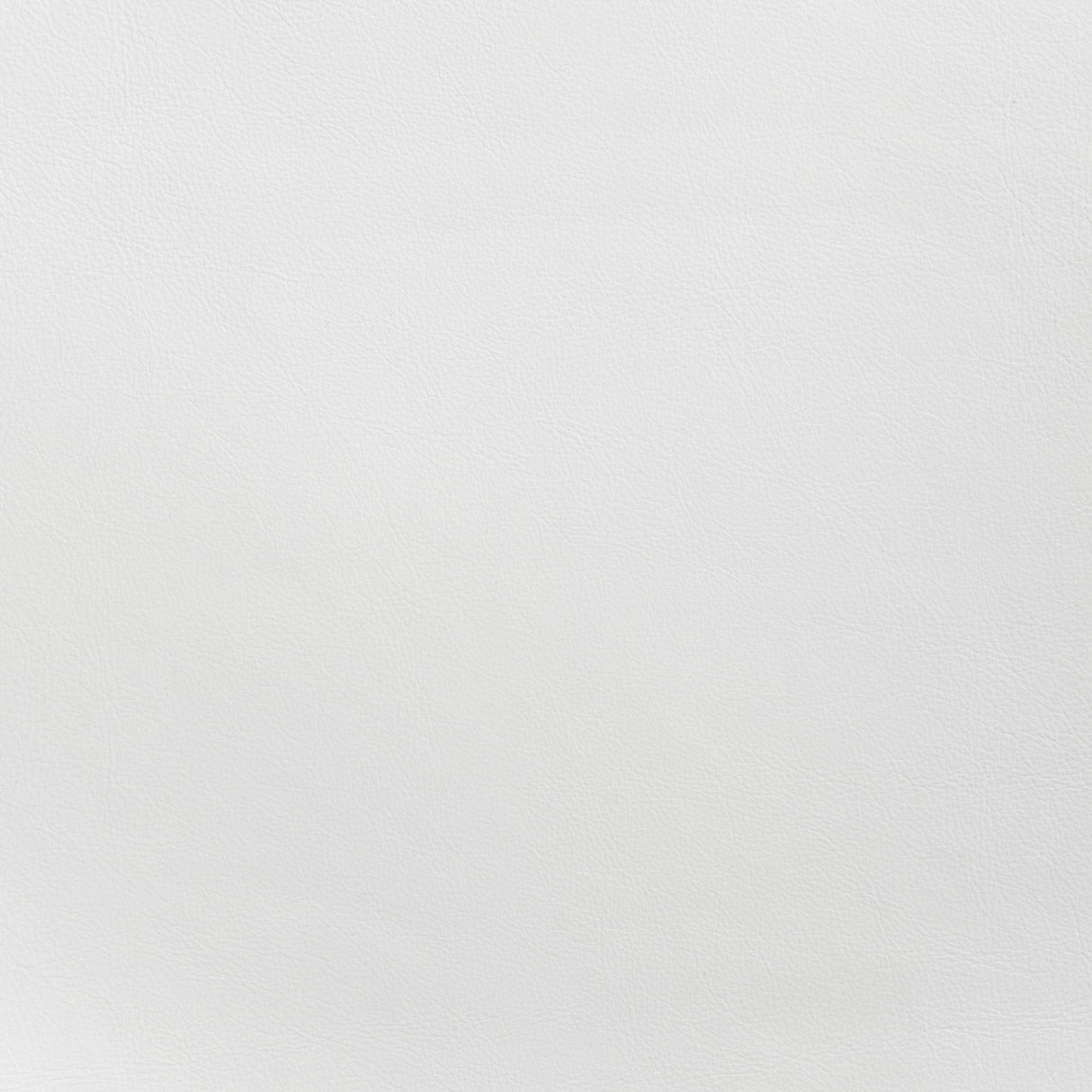 Desi White Barstool (Set of 2) by Zuomod at Eve Furniture