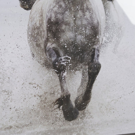 Determination by Irene Suchoki a Framed Photo Art Print Matted under Glass by Mercana at Eve Furniture