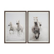 Determination Horse(Set of 2) by Irene Sucocki a Hand Embellished Framed Art Photo Print under Glass by Mercana at Eve Furniture