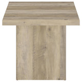 Devar Distressed Pine Square Engineered Wood End Table by Coaster at Eve Furniture