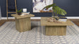 Devar Mango 2-Piece Square Coffee and End Table Set by Coaster at Eve Furniture