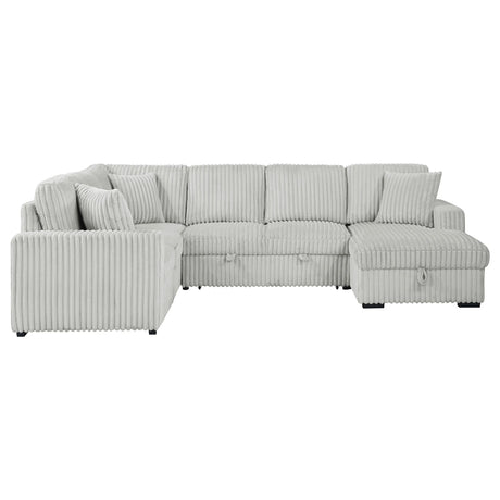 Devonshire Gray Sleeper Sectional Sofa Storage Chaise by Coaster at Eve Furniture