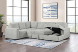 Devonshire Gray Sleeper Sectional Sofa Storage Chaise by Coaster at Eve Furniture