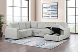 Devonshire Gray Sleeper Sectional Sofa Storage Chaise by Coaster at Eve Furniture
