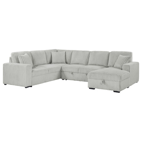 Devonshire Gray Sleeper Sectional Sofa Storage Chaise by Coaster at Eve Furniture