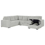 Devonshire Gray Sleeper Sectional Sofa Storage Chaise by Coaster at Eve Furniture