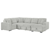 Devonshire Gray Sleeper Sectional Sofa Storage Chaise by Coaster at Eve Furniture
