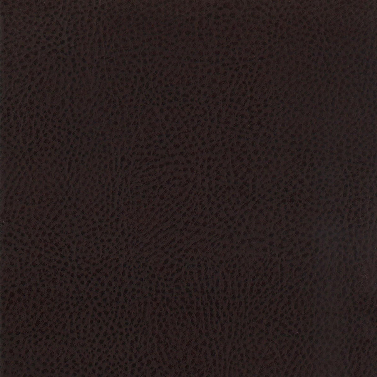 Dewey Brown/Walnut 5-Piece Rectangular Dining Set by Coaster at Eve Furniture