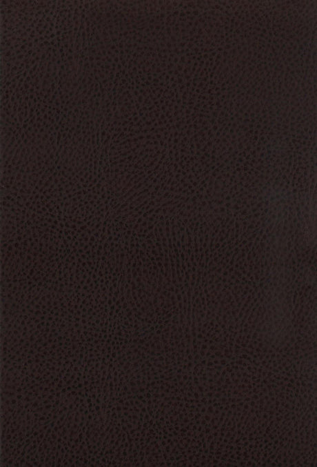 Dewey Brown/Walnut Upholstered Counter Height Chairs with Footrest, Set of 2 by Coaster at Eve Furniture