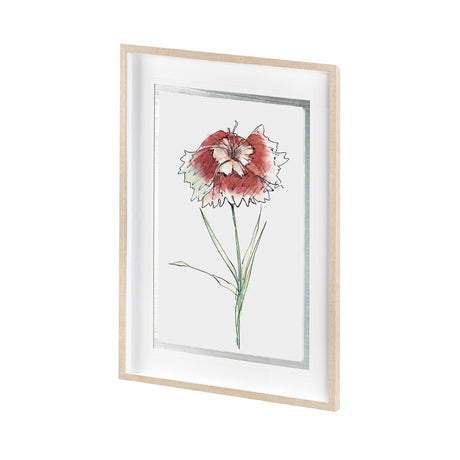 Dianthus I by Panpan Zhang a Framed Art Print Matted under Glass by Mercana at Eve Furniture
