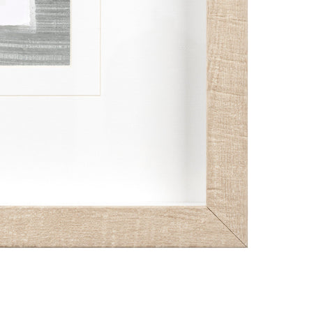 Dianthus I by Panpan Zhang a Framed Art Print Matted under Glass by Mercana at Eve Furniture