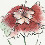 Dianthus I by Panpan Zhang a Framed Art Print Matted under Glass by Mercana at Eve Furniture