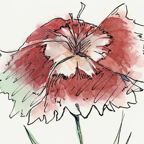 Dianthus I by Panpan Zhang a Framed Art Print Matted under Glass by Mercana at Eve Furniture
