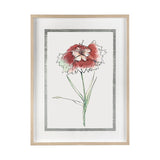 Dianthus I by Panpan Zhang a Framed Art Print Matted under Glass by Mercana at Eve Furniture