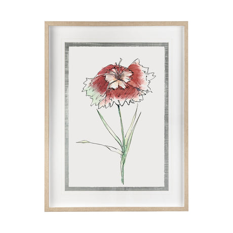 Dianthus I by Panpan Zhang a Framed Art Print Matted under Glass by Mercana at Eve Furniture