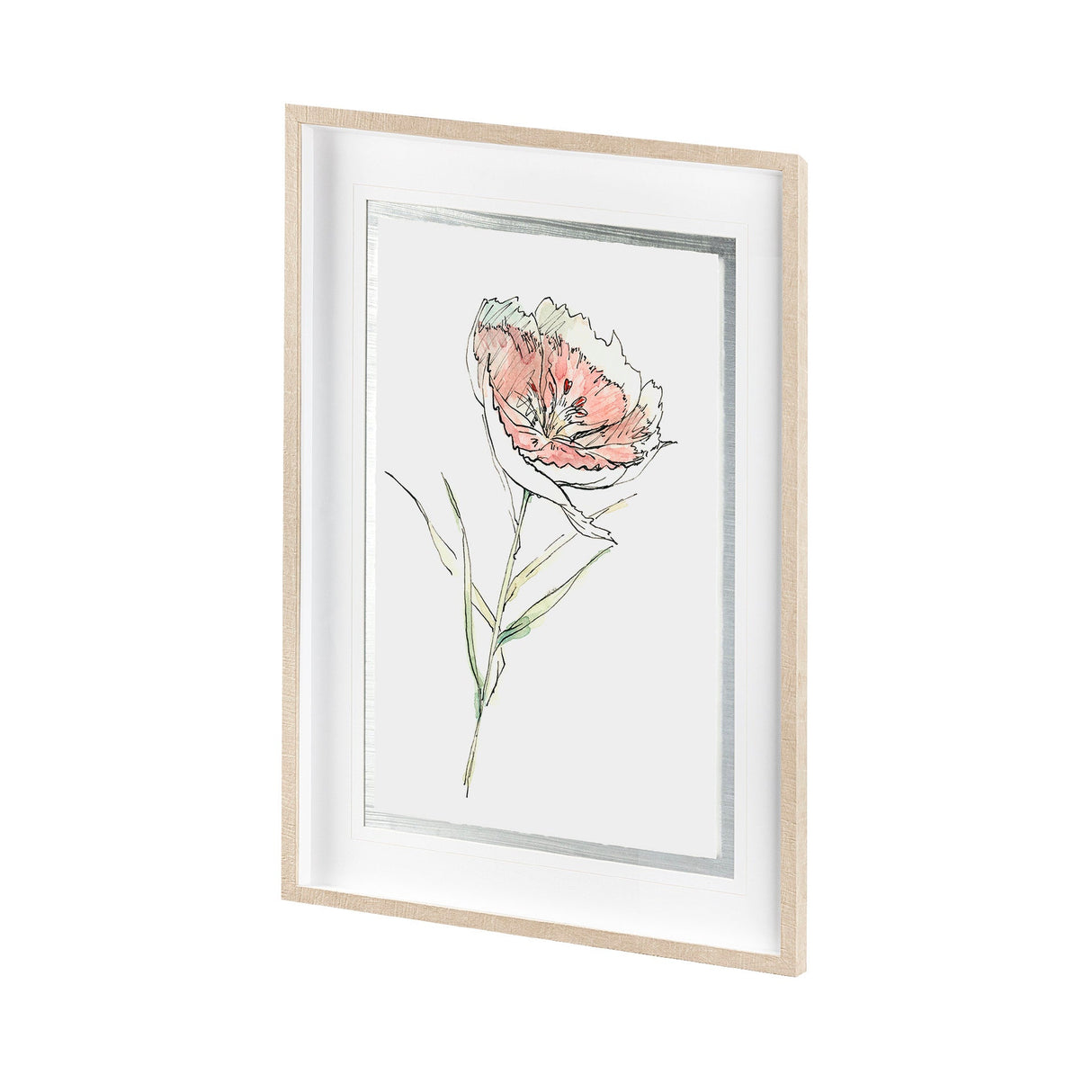 Dianthus II by Panpan Zhang a Framed Art Print Matted under Glass by Mercana at Eve Furniture