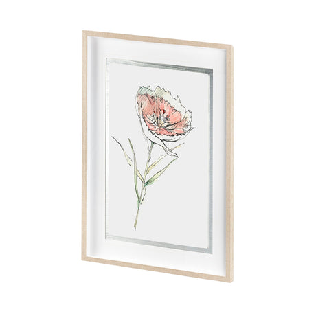 Dianthus II by Panpan Zhang a Framed Art Print Matted under Glass by Mercana at Eve Furniture