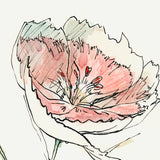 Dianthus II by Panpan Zhang a Framed Art Print Matted under Glass by Mercana at Eve Furniture